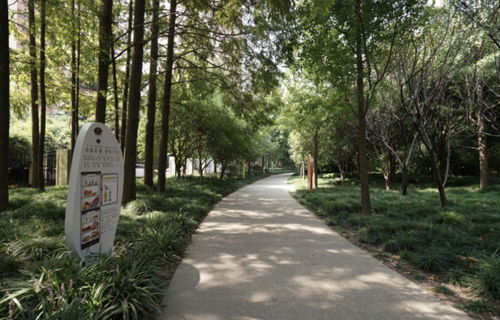 逛公园就能 遇见 食品安全知识 全市首家食品安全主题广场亮相徐汇