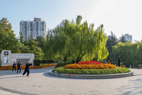 传统与现代共存,来世博园周边感受街角公园的乐趣