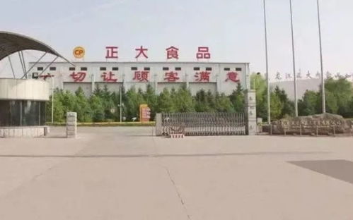 黑龙江正大实业公司新增10名确诊者和28名无症状感染者