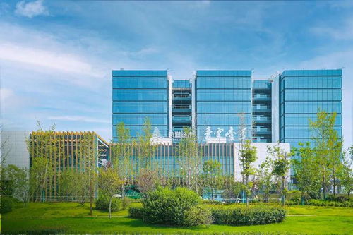 龙湖商业牵手马厂坝tod,青羊新城新增15万方商业综合体