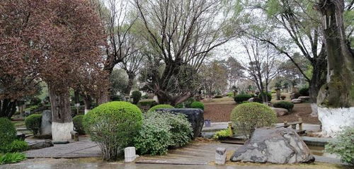 独具南北园林特色两千亩精品公园西安中园唐苑免费开放