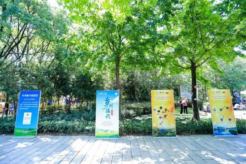 丰收世界画丰收 金秋时节新米飘香,奉贤跨界农产品增效又增收