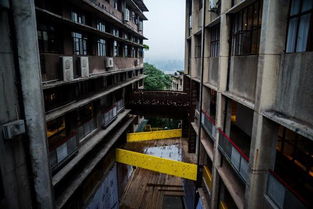 春节假期重庆三日游攻略 探索山城风情与园林实业魅力