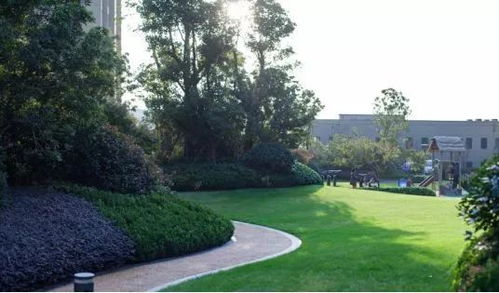 新力地产钰珑湾 经济性景观与公园化住宅的完美碰撞