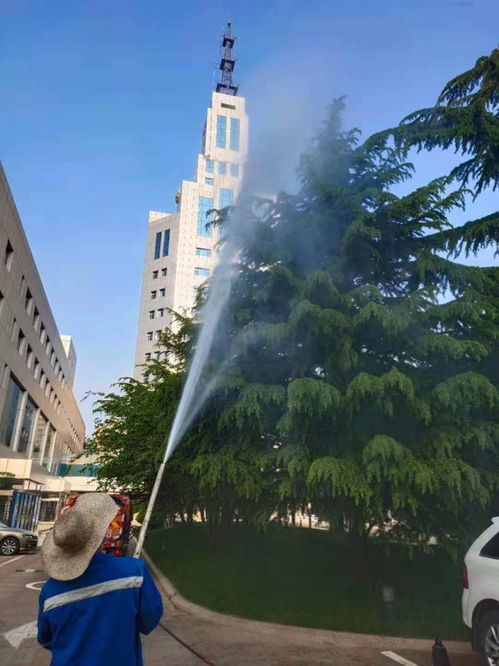 2021欢迎访问 专业出租园林喷药车，助力各类树木养护——【实业集团】园林实业