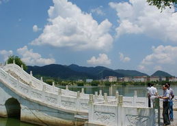 招商局 以园林实业构筑生态城市新图景